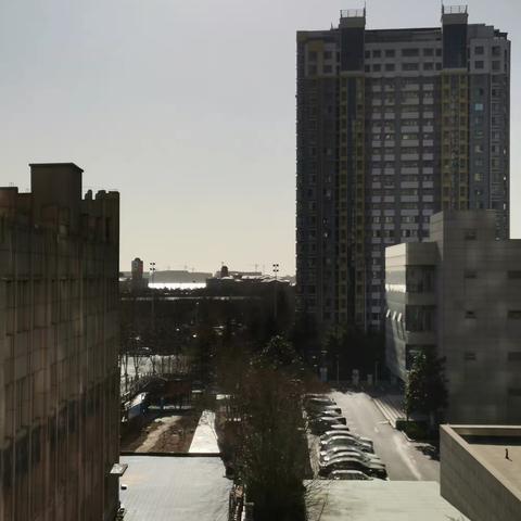 683 阳光灿烂的日子