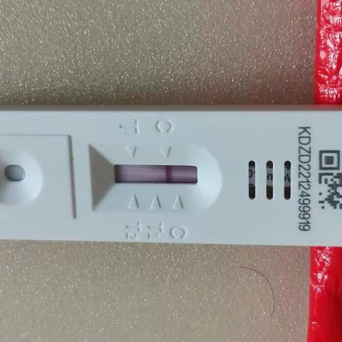 690   郭果的阳康日记