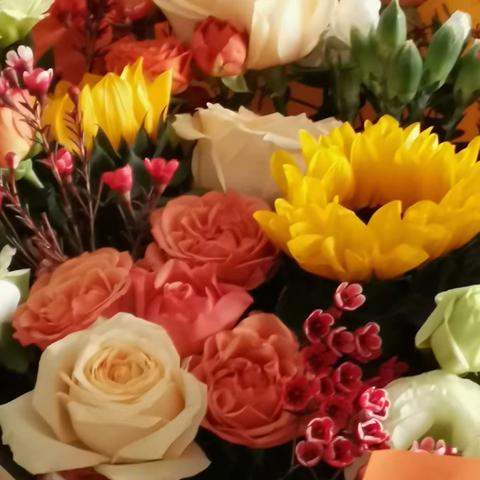 694  想说很多的话