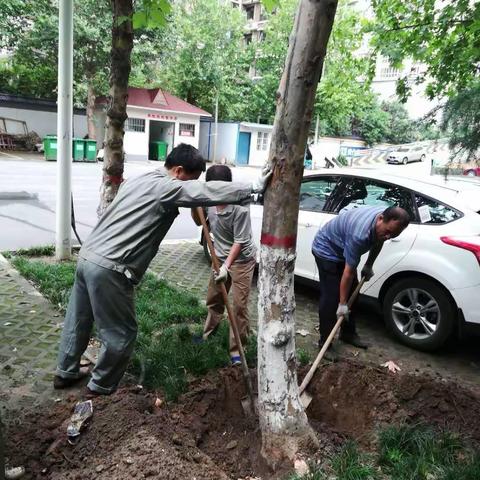 机关事务服务中心物业科6月24日工作动态