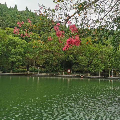 解封后的龙泉公园
