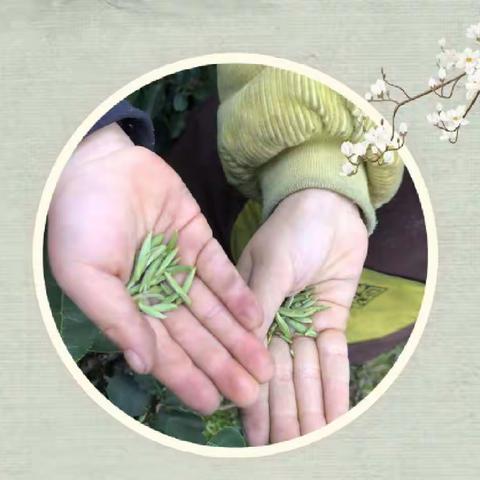 叙州一小二年级（7班）胥敬禹寒假小体验