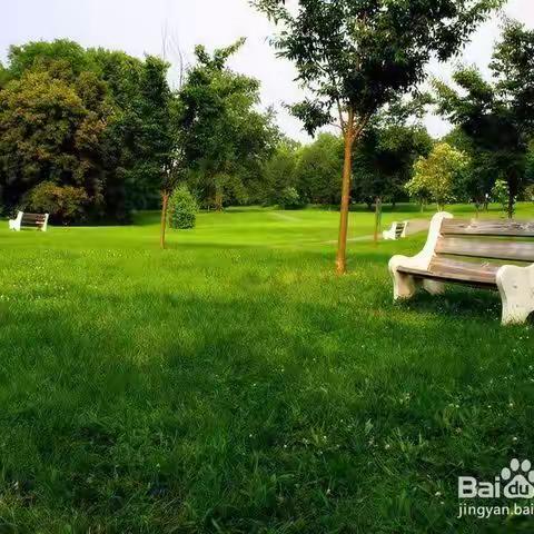 【浐灞教育】拜访春天，我们和春天有一个约会！