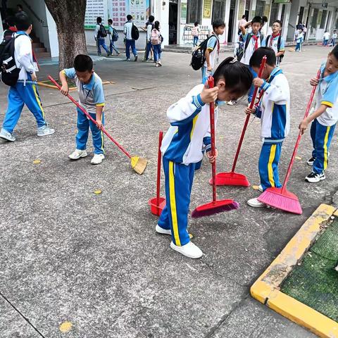 寓教于劳，育才于勤——四会市城中街道城东小学劳动教育活动