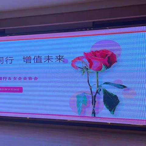 携手同行，增值未来——银企沙龙交流会