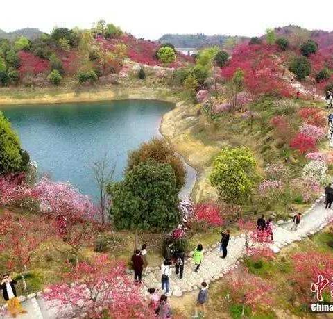 4月1日：庐山西海巾口+花千谷一日游170元一价全含