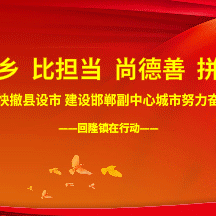 政府常务副县长冉德龙到回隆镇参加“公仆日”活动