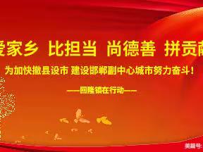 激活发展动能，共建和美回隆——回隆镇邀请专家到镇指导特色发展