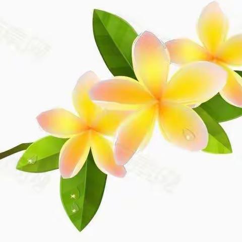 一年级四班2020年署假作业