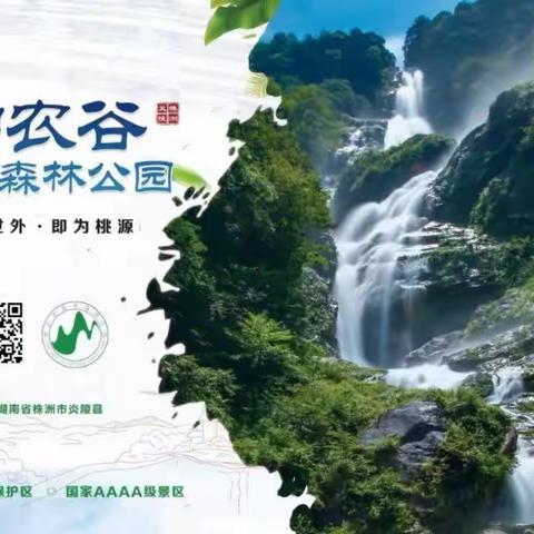 大美炎陵等您来!  