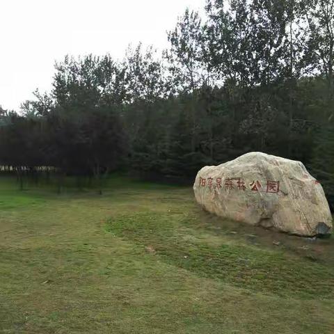 漫步阳高泉森林公园 马跃武