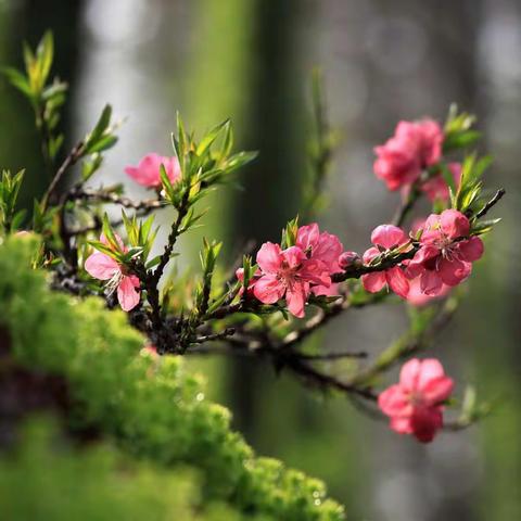 真教实学“宅”战疫