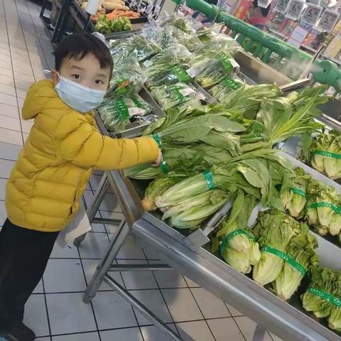 睿宝当家