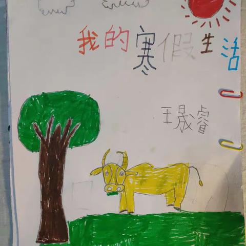 一（12）班王晟睿《我的寒假生活》