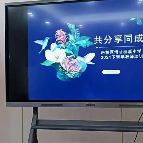 同分享，共成长——博才桐溪小学教师外出学习经验分享会