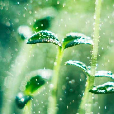 学习引领成长，专家助力课堂                   记新密市远程教育示范学校语文统编教材培训。