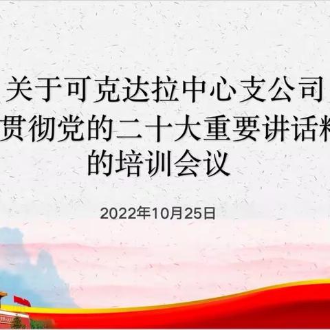 中华财险可克达拉中心支公司团支部组织召开学习党的二十大重要讲话精神会议