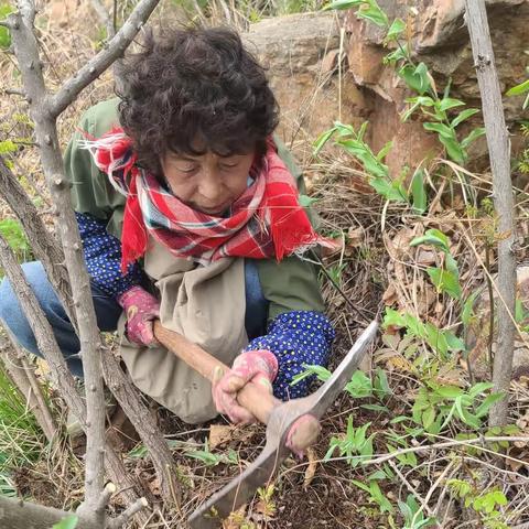 2023.5.1 回家看爸爸妈妈