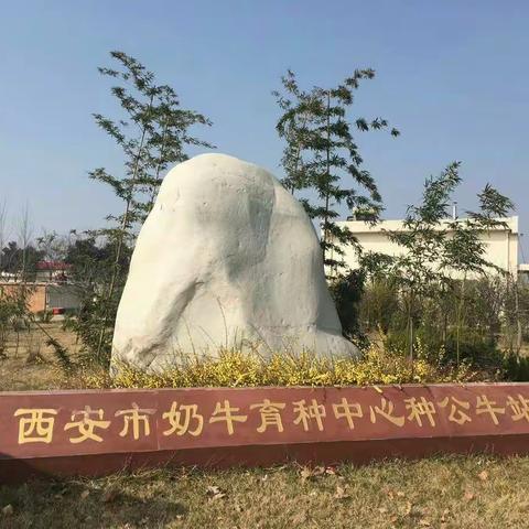 植树造林美化环境