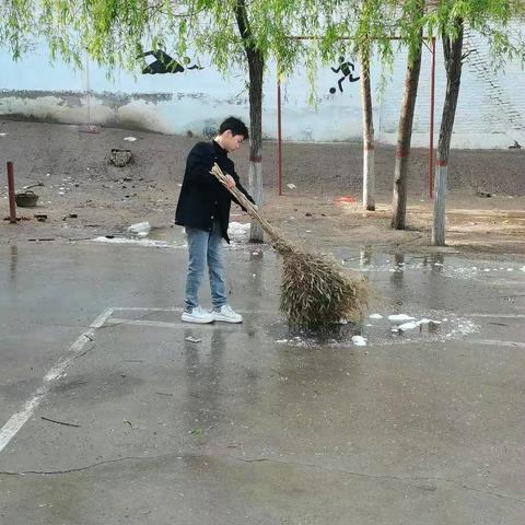 清明时节雨纷纷，阳春三月杨絮飞