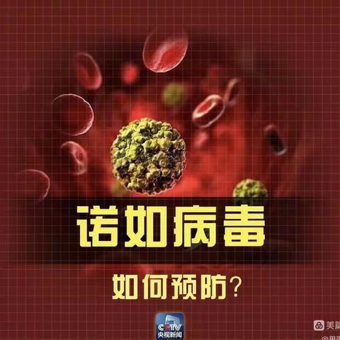 鲍家中心园———远离“诺如”病毒 · 健康成长