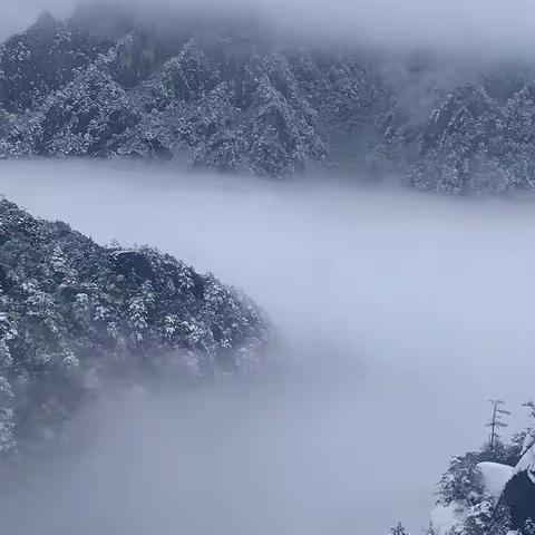 邂逅雪后的黄山美景