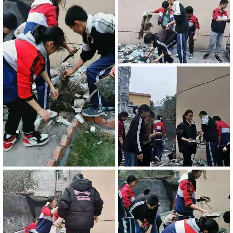 享劳动乐趣 扬青春活力   ——九一班劳动实践活动