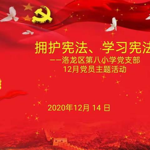 拥护宪法，学习宪法——洛龙八小党支部12月党员主题活动