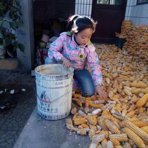 “我劳动 我快乐”东叩村小学学生实践系列活动