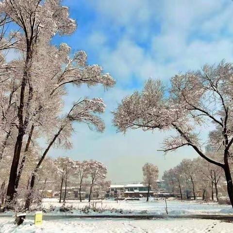 春雪过后，大地真的很美，几张美景共享！