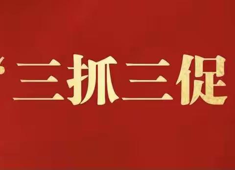 【“三抓三促”行动专栏】柳林镇卫生院进村义诊活动