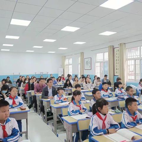 “双减”提质    名师领航