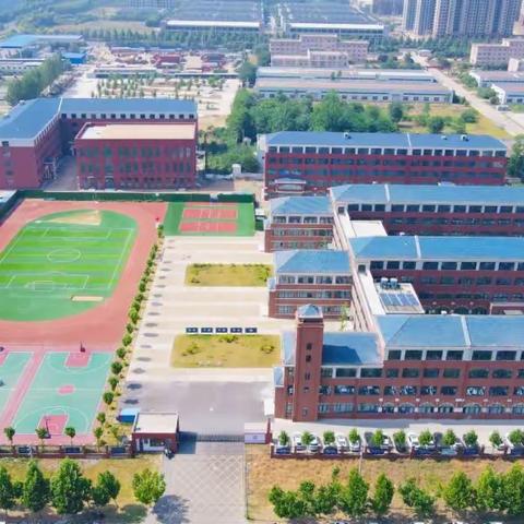 疾风知劲草、云端守初心|奇诺双语实验学校开展线上教学