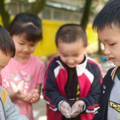 中铁英才幼儿园大四班一周教学活动及生活展示