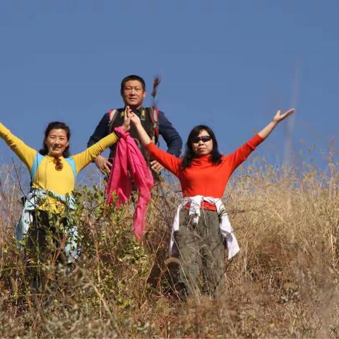 再登峰峦寺、观银杏，赏菊花