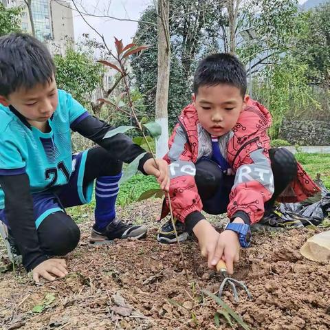 为大地增添一抹绿