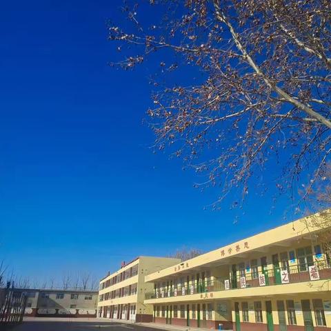 梁水镇学区中心小学2020年冬季学期五育工作开展纪实