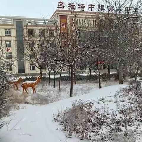 统编教材集备活动