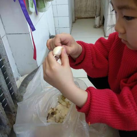 杨若溪寒假生活