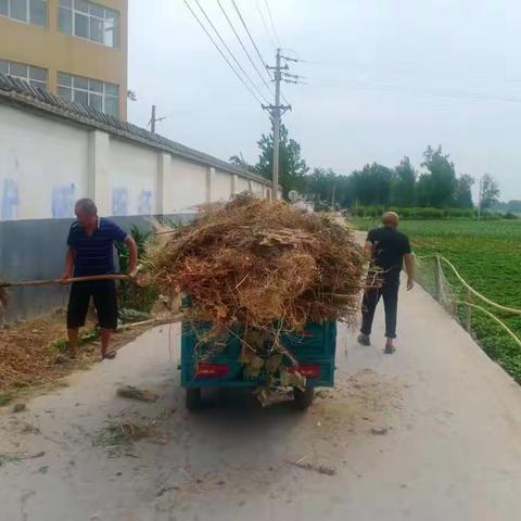 【太尉镇】全员上阵战酷暑 环境整治“不打烊”