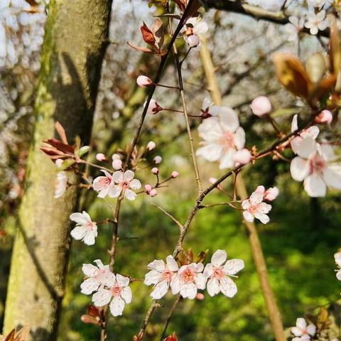 小四班3月生活剪影