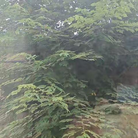 城东街道新泰山社区小区巡查纪实