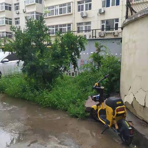 城东街道新泰山社区小区巡查纪实