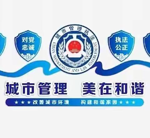 【城市管理执法应急保障大队】2022年11月21日工作日志