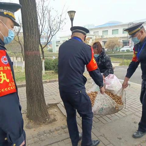 【城市管理执法应急保障大队】2022年11月18日工作日志