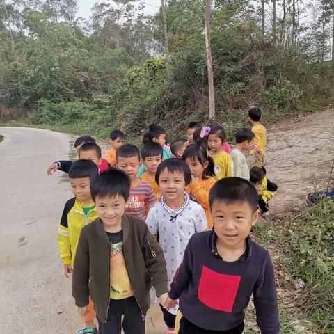 小树苗幼儿园大班【植树节开展活动】