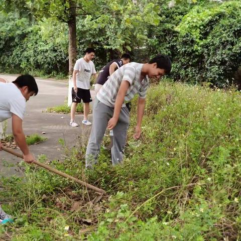 劳动，点亮生命底色—1816班劳动教育