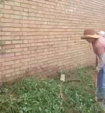 清洁家园，巾帼志愿者在行动