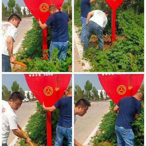 七一建党节，预备党员主动参与志愿者活动