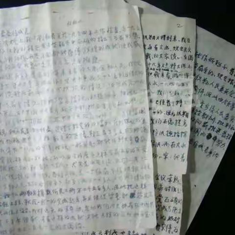 你所不知道的林散之